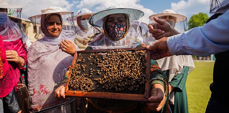 وقف الحياة الكريمة والعيش المستدام