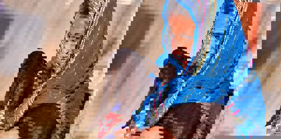 وقف الأضاحي